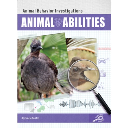 (영문도서) Animal Abilities Paperback, Discovery Library, English, 9781731648372