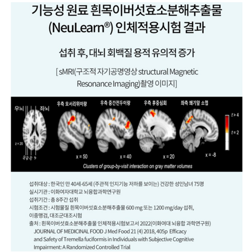 풀무원 개인맞춤영양 브레인케어 뉴런 - 흰목이버섯 효소분해추출물 600mg 함유 인지기능개선에 도움, 2개, 60정