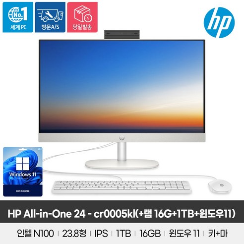 HP 2024 올인원 24 N-시리즈 인텔 12세대, 256GB, 8GB, WIN11 Pro