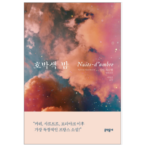호박색 밤 - 소설