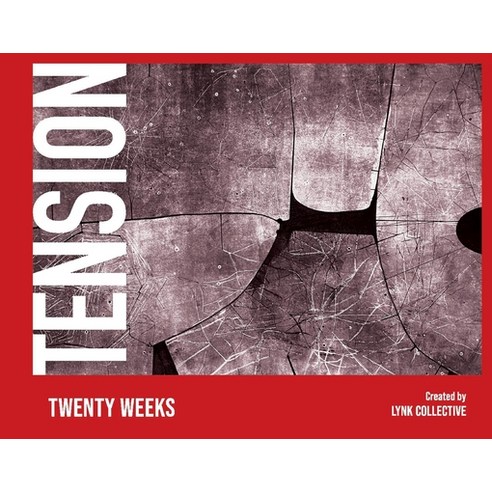 Tension: Twenty Weeks Hardcover, Bookbaby, English, 9781098377762