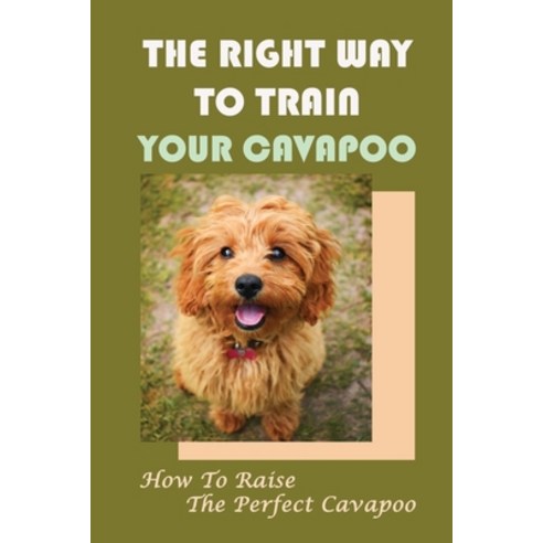 (영문도서) The Right Way To Train Your Cavapoo: How To Raise The Perfect Cavapoo: Training Book For Cavapoo Paperback, Independently Published, English, 9798450208374