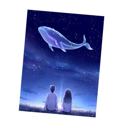 MJS 보석십자수 50 x 40 cm 캔버스형 세트 DIY MH6, 밤하늘 고래와 커플