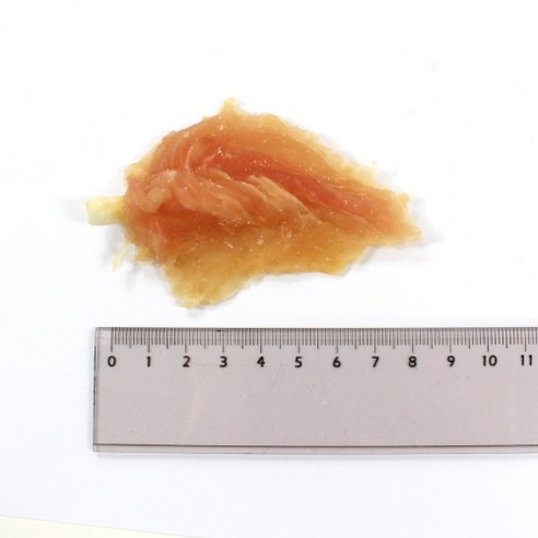 맛과 영양을 동시에 챙기는 강아지 간식