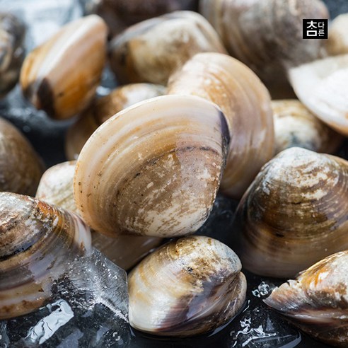 참다른 당일손질 백합 1kg x 2팩 (총 2kg), 2개 백합조개 참다른 당일손질 백합 1kg x 2팩 (총 2kg), 2개 백합조개