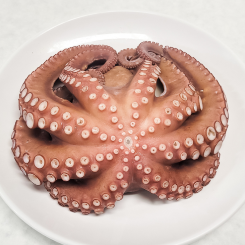 통영 제수용 돌문어 산지직송, 1개, 2kg