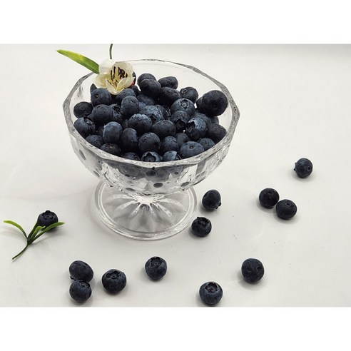 미국산생블루베리 생블루베리 생블루베리 블루베리 blueberry 생부루베리 블루베리생과, 1개, 생 블루베리 14mm 1.5kg 원박스 12팩