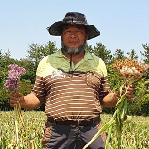 2024 국내산 코끼리마늘 주아 마늘, 코끼리마늘 1kg 종자, 1개