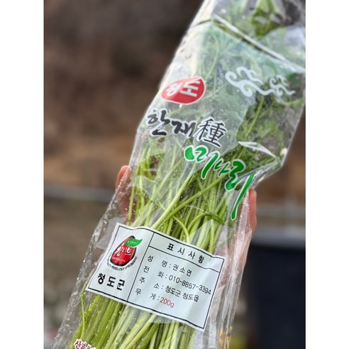 청도 한재 미나리 당일수확, 3개, 200g