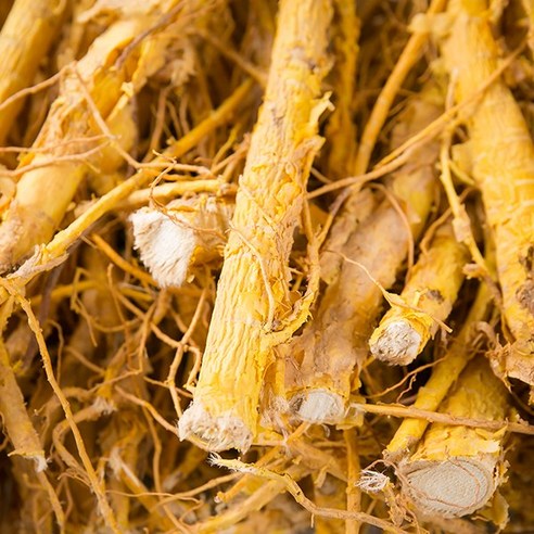 신토불이 약초 국산 꾸지뽕뿌리 600g, 1개 꾸지뽕나무