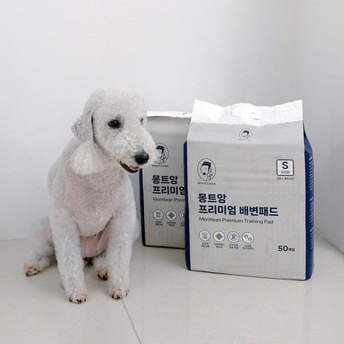 강아지의 배변 문제를 해결하는 최적의 선택