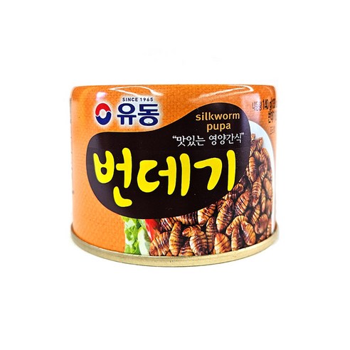 유동 번데기 캔