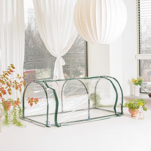 작은 정원을 위한 이상적인 선택