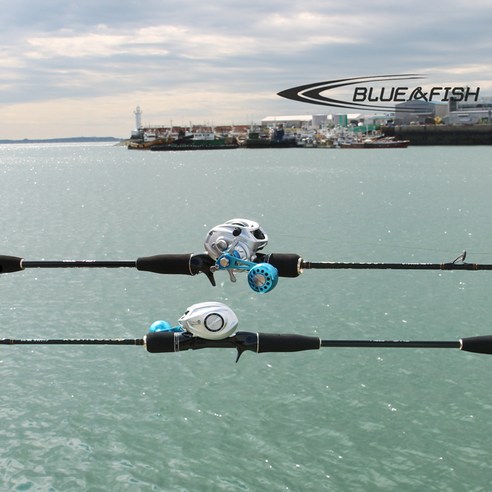 바다의 신비로운 생물들과 함께하는 잊지 못할 낚시 경험