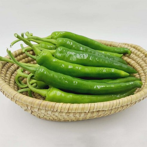 [자연맛남] 국내산 아삭한 오이고추 3kg, 1개