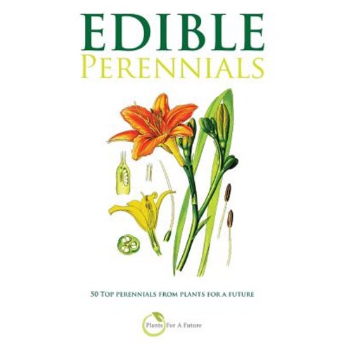 (영문도서) Edible Perennials: 50 Top perennials from plants for a future Paperback, Createspace Independent Pub..., English, 9781516965342