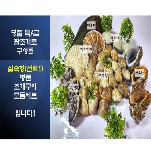 맛과 영양이 가득한 캠핑의 필수품