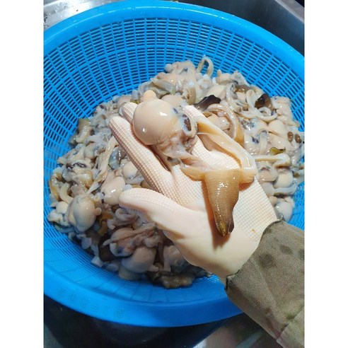 남해의 숨결을 담은 손질 우럭조개살로 미식 경험을 완성하다