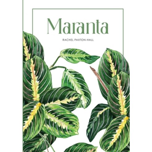 (영문도서) Maranta Paperback, Lulu.com, English, 9781471682315