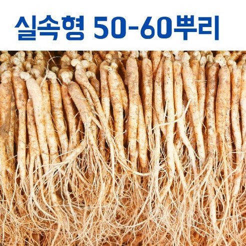 실속형 5 6년근 세척 햇수삼(350g) 40-50 뿌리 (무료배송), 1.실삼계(350g) 40-50뿌리, 1개