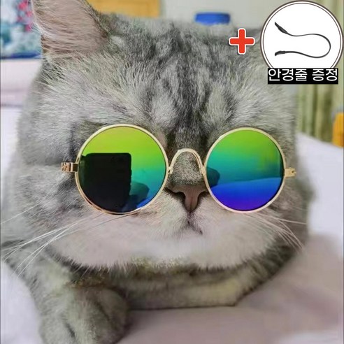 강아지 고양이 반려동물 애견 선글라스 선그라스 패션 안경, 9.금테 퍼플, 1개 고양이선글라스 강아지 고양이 반려동물 애견 선글라스 선그라스 패션 안경, 9.금테 퍼플, 1개 고양이선글라스