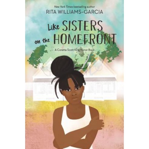 Like Sisters on the Homefront Paperback, Quill Tree Books