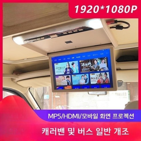 천장모니터 카니발의 다양한 옵션과 기능
