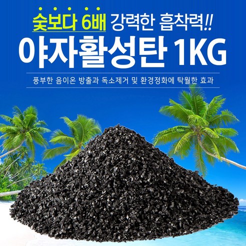 지니컴퍼니 1등급 야자활성탄, 4kg, 1개