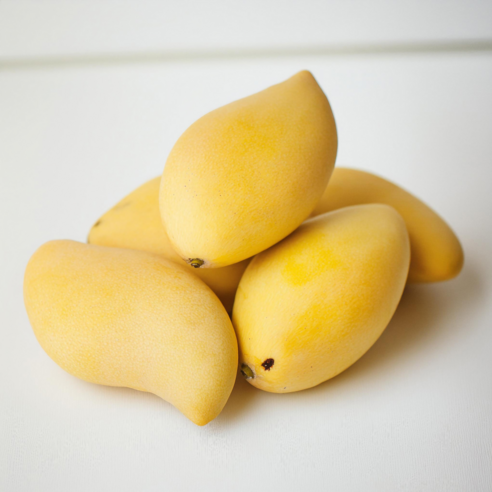 입 안에서 사르르 녹는 달콤함, 태국 남독마이 망고!