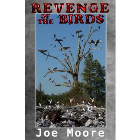 (영문도서) Revenge of the Birds Paperback, North Pole Press, English, 9781732495890