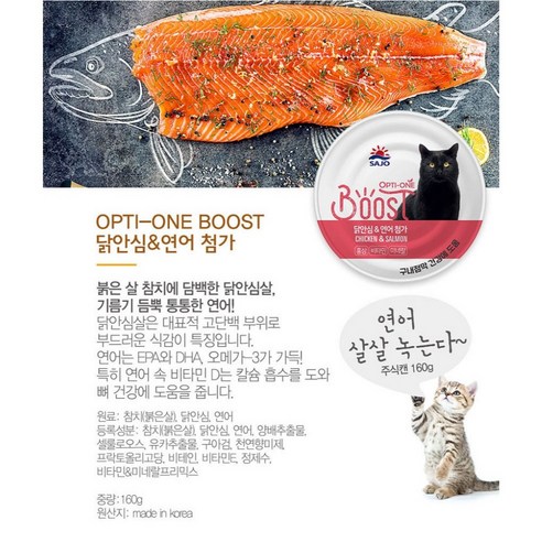 고양이를 위한 영양가 있고 맛있는 간식