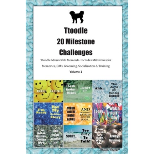(영문도서) Ttoodle 20 Milestone Challenges Ttoodle Memorable Moments. Includes Milestones for Memories ... Paperback, Desert Thrust Ltd, English, 9781395865672