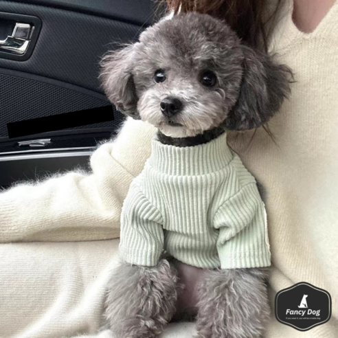 강아지용 펜시독 데일리 목폴라 그린 옐로우 애견 실내복 강아지옷