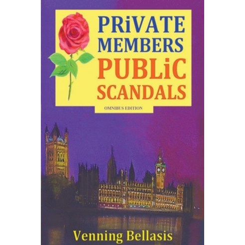 (영문도서) Private Members Public Scandals Paperback, Bellasis Publishing, English, 9798224521289