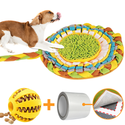페티풀 초대형 강아지 노즈워크 장난감 매트 + 볼 세트 소개