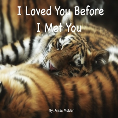 (영문도서) I Loved You Before I Met You Paperback, Alissa Molder, English, 9780692689776