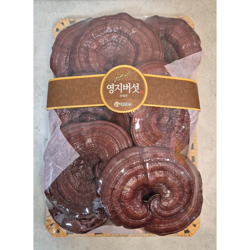 채울농산 국산100% 영지버섯 (고급특품-선물용) 1kg