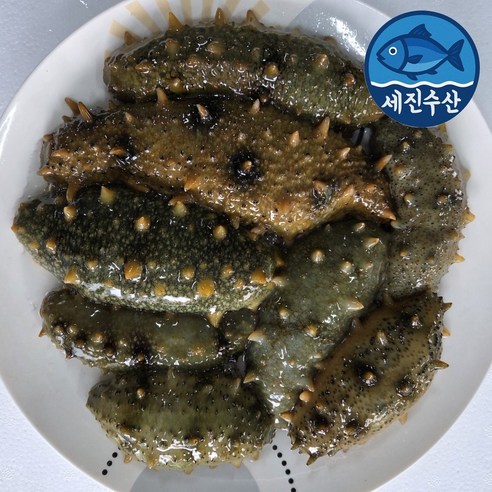 세진수산 국내산 해삼 - 해삼 | 쿠팡