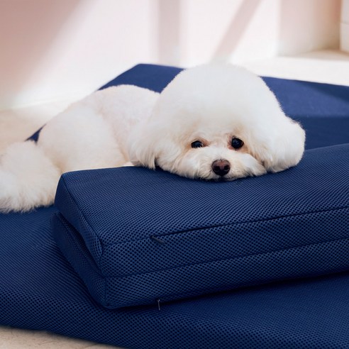 반려견에게 최고의 잠자리를 선물하세요.