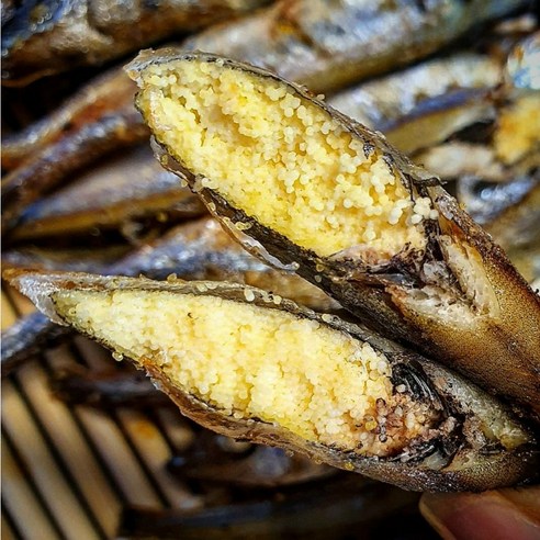 맛있고 영양가 높은 알이 가득 찬 열빙어를 저렴하게 만나보세요.
