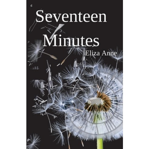 (영문도서) Seventeen Minutes Paperback, Eliza Anne Publishing, English, 9798988352112
