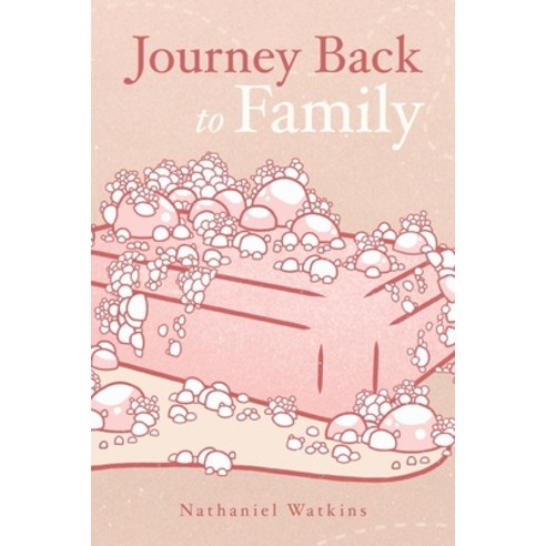 (영문도서) Journey back to family Paperback, Palmetto Publishing, English, 9798822920422