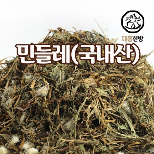 대흥한방 민들레 150g 국내산, 1개 생민들레 Best Top5