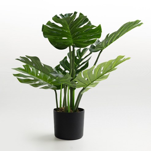 자연의 아름다움이 담긴 인공 식물로 실내 공간에 생기를 불어넣는 피어나 몬스테라 조화나무