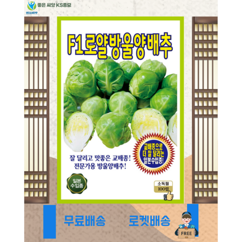 로얄방울양배추 씨앗(100립) 방울양배추 씨 씨앗 종묘 종자 영웅 KS, 1개