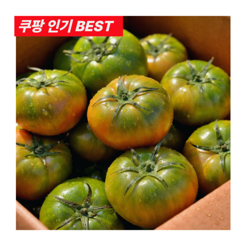 [최저가이벤트곧종료!!]농협정품 못난이 대저토마토 초특가
