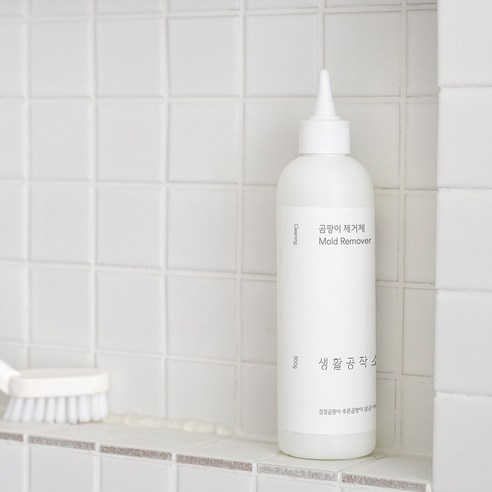 천연 성분으로 안전하고 효과적인 곰팡이 관리