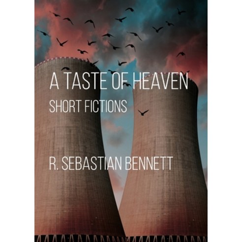 (영문도서) A Taste of Heaven: Short Fictions Paperback, Tailwinds Press Enterprises..., English, 9798985312423