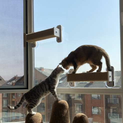 헤라우스점핑 튼튼한 고양이 일광욕 창문 해먹 캣타워, 창문 캣폴 대형, 1개