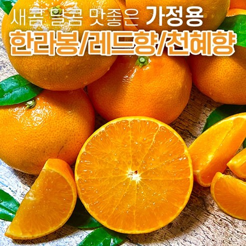 상큼달콤한 제주 가정용 한라봉 천혜향 레드향 만감류 제주도 귤 감귤 못난이 2kg 3kg 5kg, 1개, 2kg (한라봉 가정용)